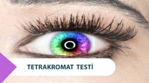 Tetrakromat Testi: Fazladan 9 Milyon Renk Görüyor Musun?